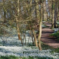 Burton Agnes Hall & Bridlington