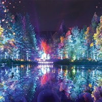 Enchanted Forest - 27th - 31st October