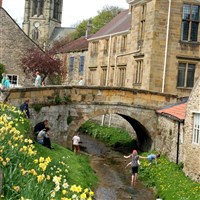 Helmsley & Pickering