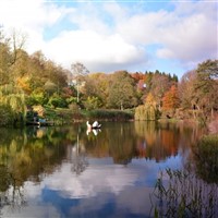 Himalayan Gardens & Sculpture Park & Ripon