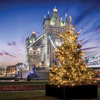 London - 14th - 15th December