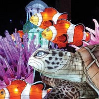 Longleat - 10th - 14th November